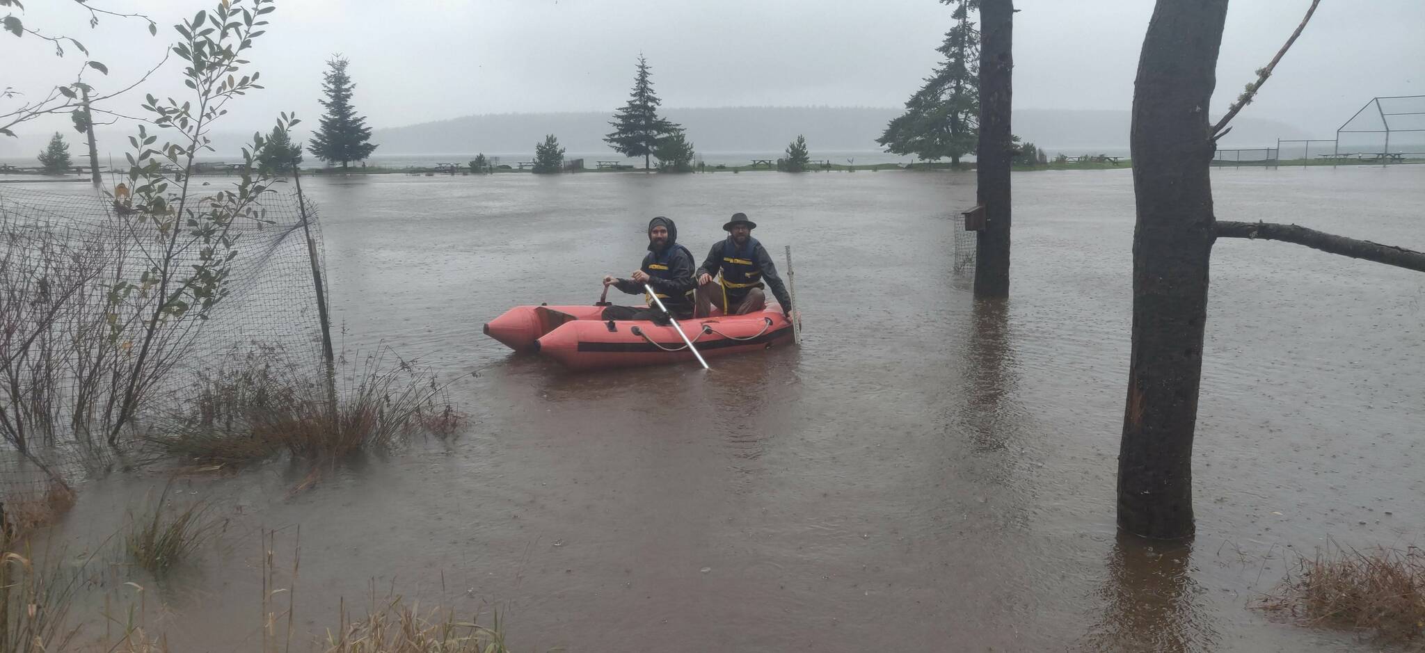 Photo by Krista Davis/Flooding at Odlin Park, Lopez Island