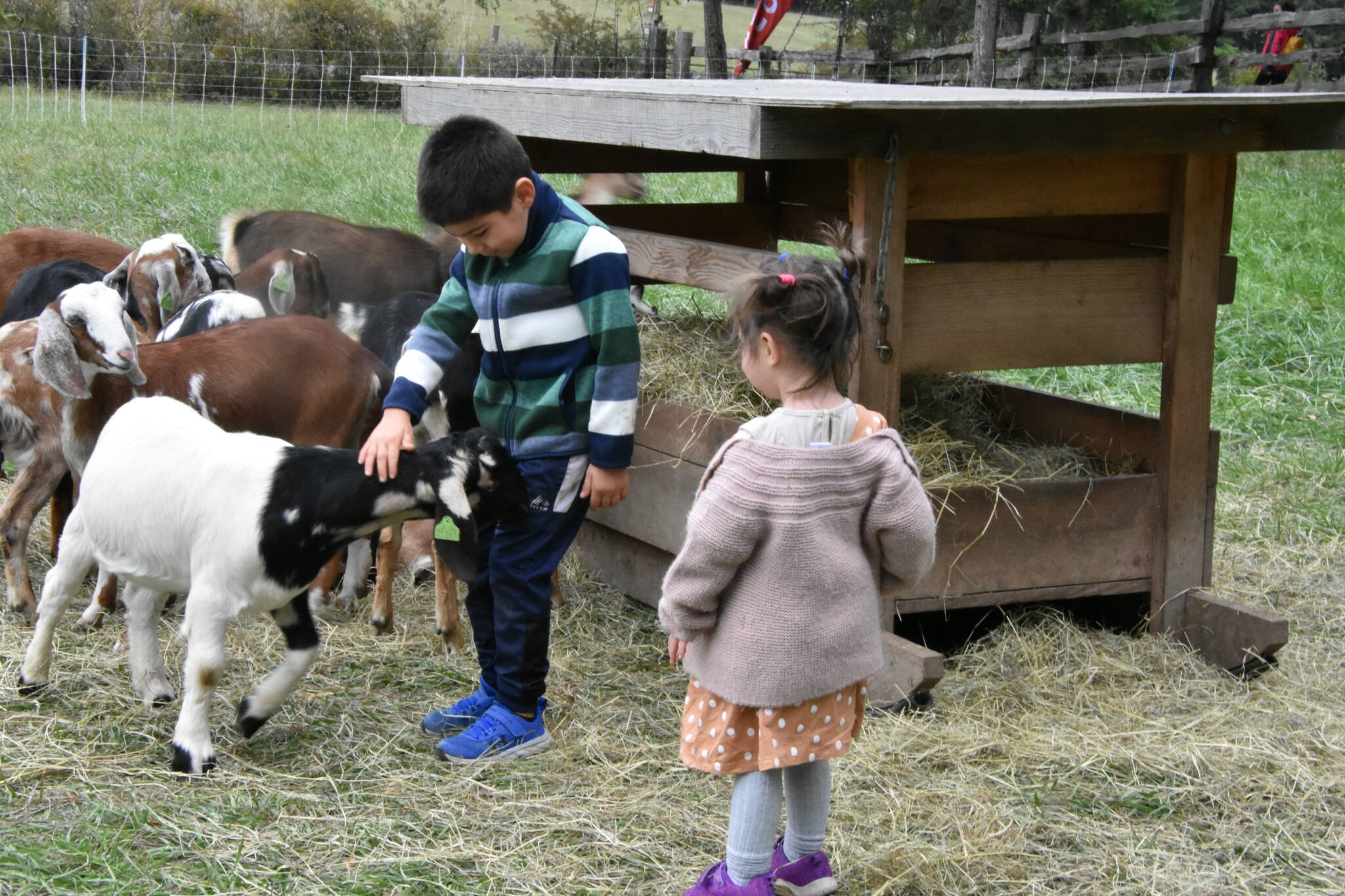 Photo courtesy of J Summers