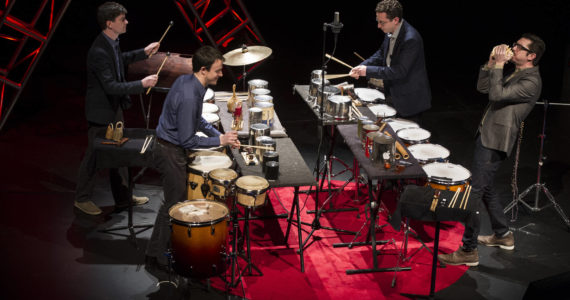 Barbara Johnston, University Photographer/Contributed photo
Jan. 21, 2014; Ensemble, Third Coast Percussion deliver their talk titled, “Never Compromise, Collaborate,” followed by a performance during the TEDxUND 2014 event in the Debartolo Performing Arts Center.