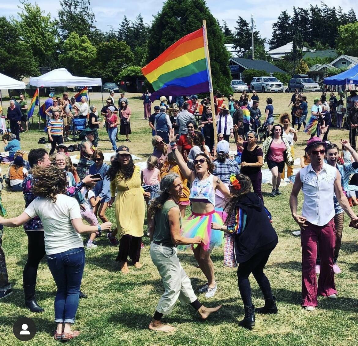 Mandi Johnson photo
The crowd having fun at Pride in the Village Green in 2019.