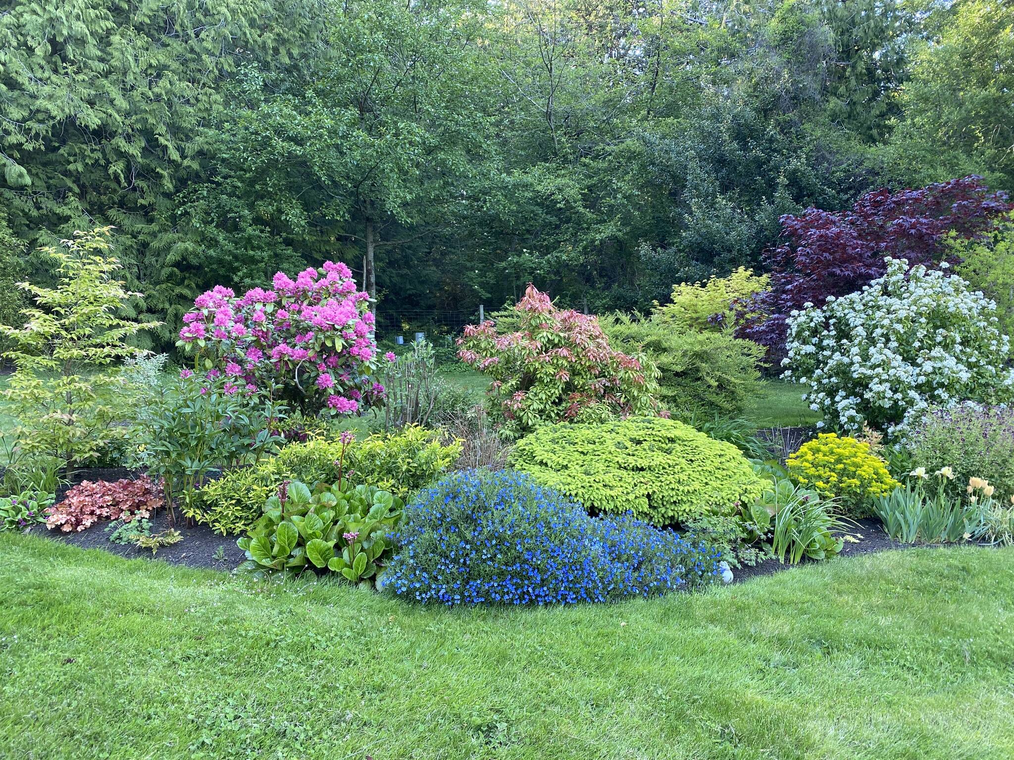 Orcas Island Garden Tour 2022 Islands' Sounder
