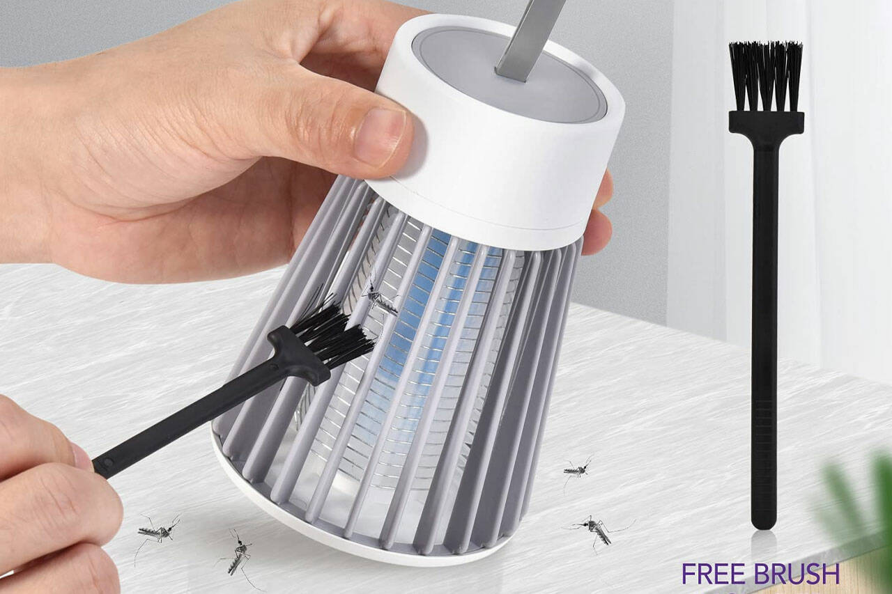 BuzzBGone Zap Reviews Hidden Dangers Exposed? Islands' Sounder