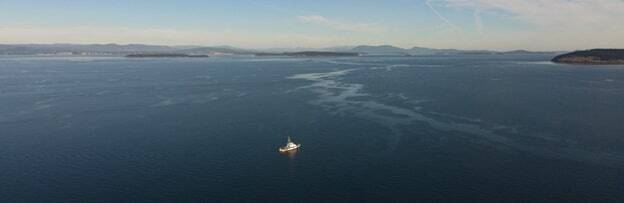 Contributed photo by IOSA