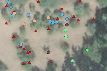 Contributed photo
A small section of the Orcas Island fruit tree map. Red = apple, blue = pear, tan = plum/prune/pluot, green = cherry. There are 10 fruit types in all.