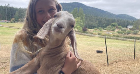 Contributed photo
Farm Tours and events are scheduled for September 23-25 on San Juan Island; September 30-October 2 on Orcas Island; and October 7-9 on Lopez Island.