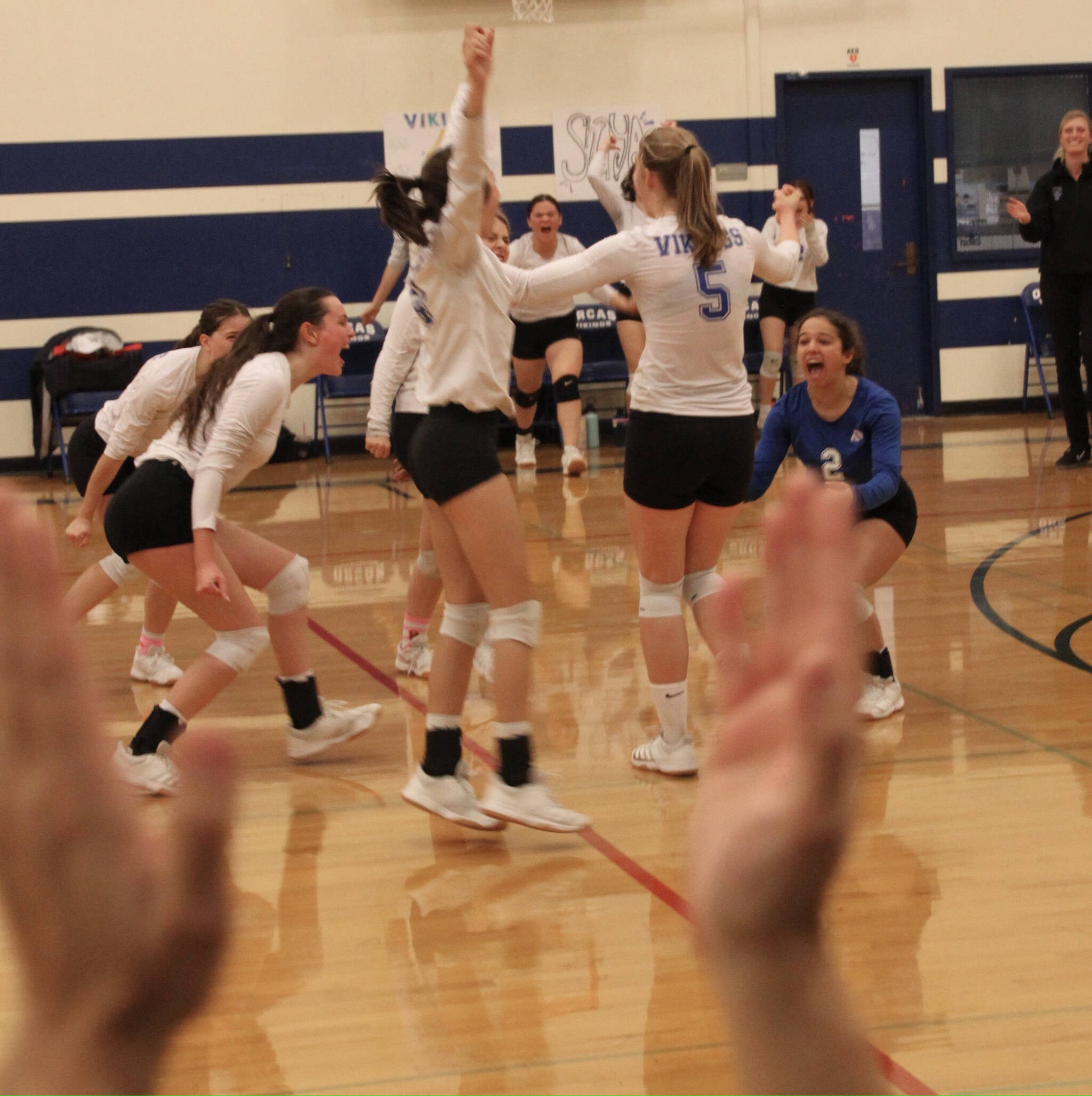 <strong>Corey Wiscomb photo </strong>
Lady Vikings celebrate the second set victory.