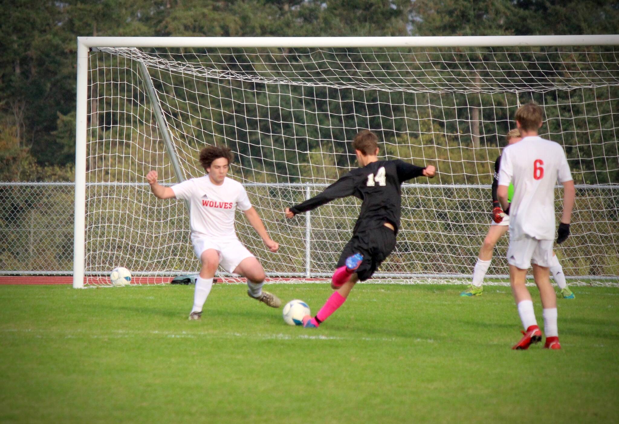 Victorious Vikings Volleyball, soccer and crosscountry continue to