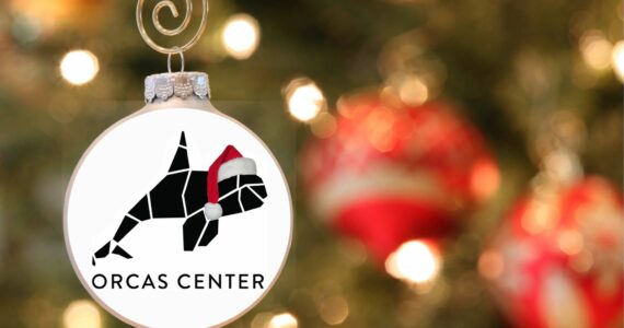Plenty of events to help get in the holiday spirit this year at Orcas Center.