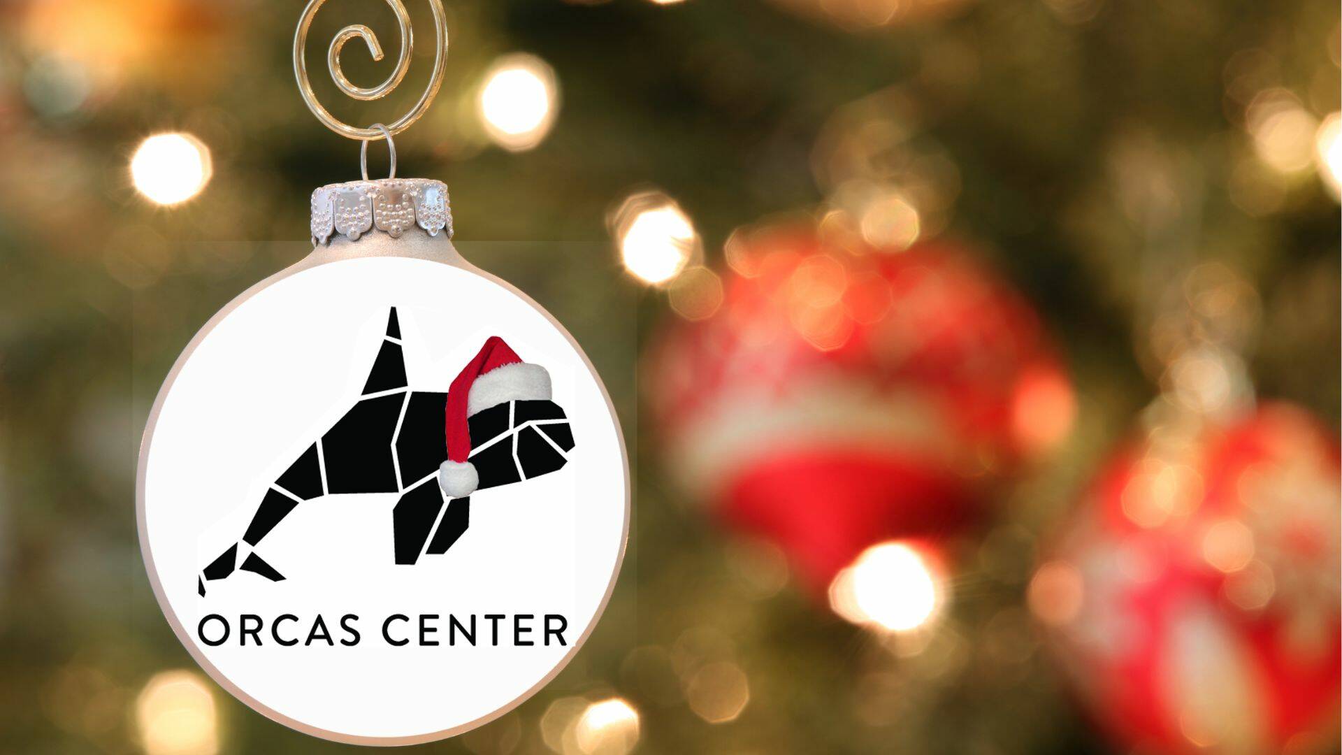 Plenty of events to help get in the holiday spirit this year at Orcas Center.