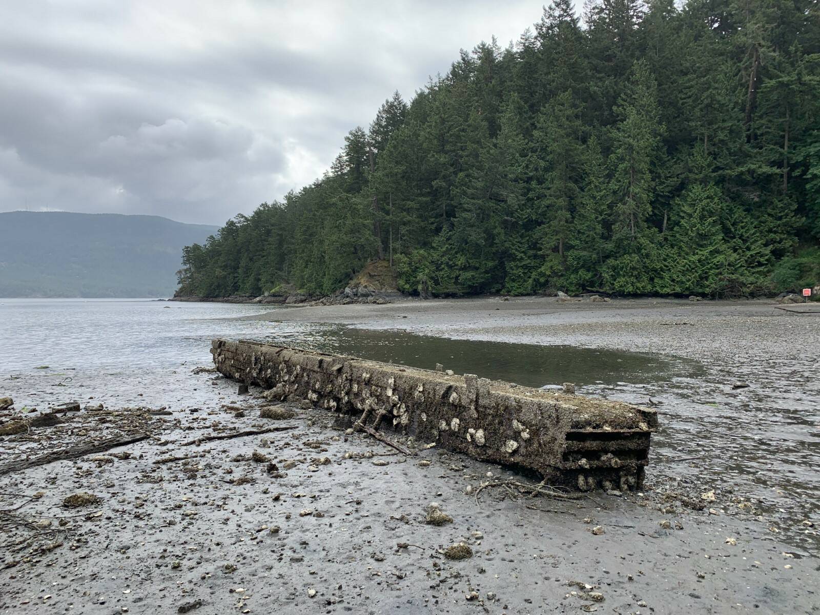 A derelict concrete structure located offshore of the San Juan Conservation Land Bank’s Judd Cove Preserve on Orcas Island