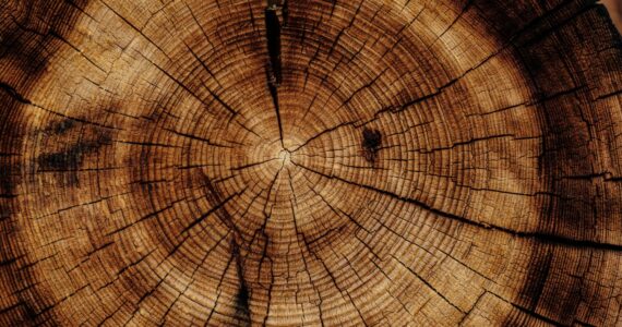 Joel Jasmin for Unsplash.