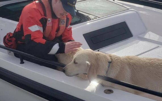 Contributed photo by the US Coast Guard Bellingham Station
Coast Guard crew with the dogs.