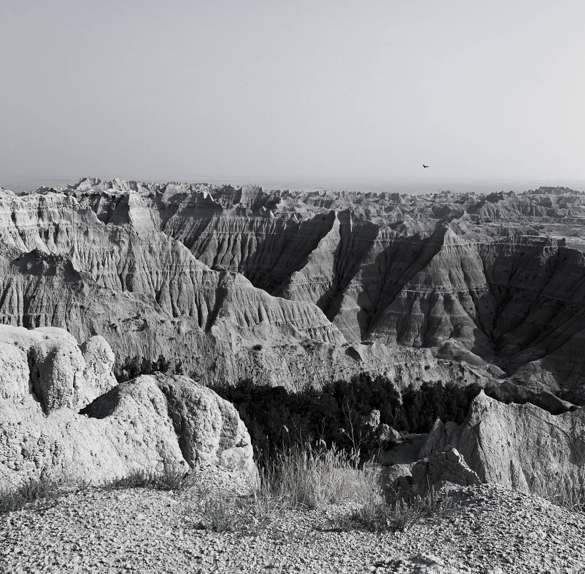 Juliette McKenneys South Dakota Badlands.