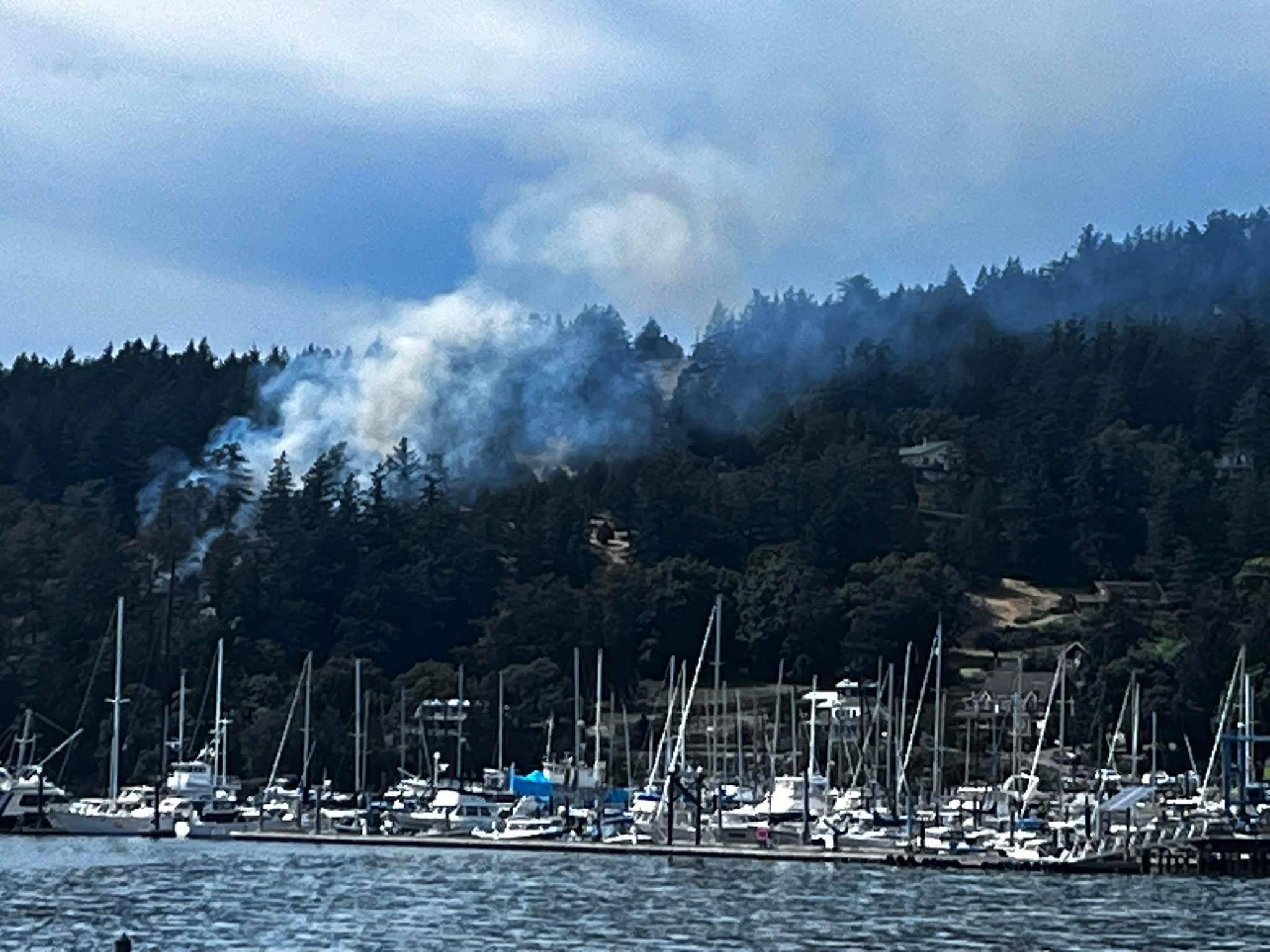 Contributed photo.
The wildland fire from West Sound Marina.