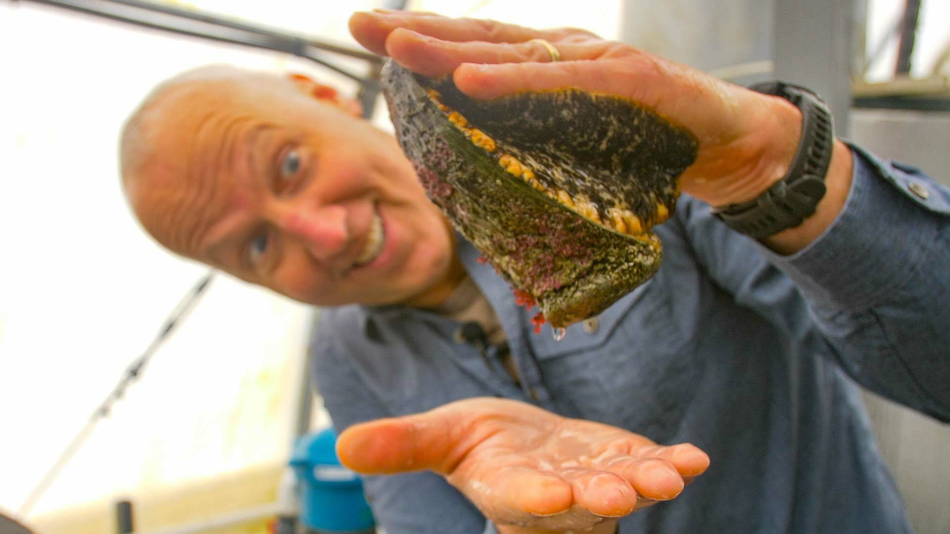 Dr. Joe Gaydos holding an abalone in Salish Sea Wild.