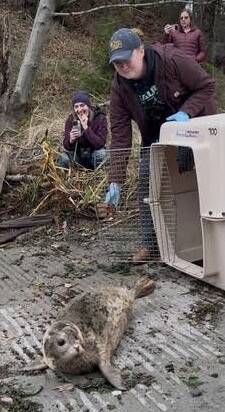 Heather Spaulding/staff photo.
Christina Parker, a veterinarian, and Al Dente as he makes his way down the boat ramp.