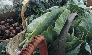 A group of islanders have been working for months to form the Orcas Food Co-op.