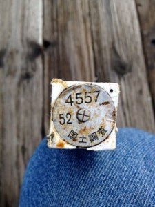 A possible remnant from the 2011 tsunami.