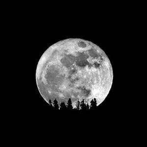 The moonrise.
