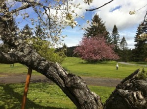 The Orcas Island Golf Course is offering a full membership and discounts on carts and the driving range