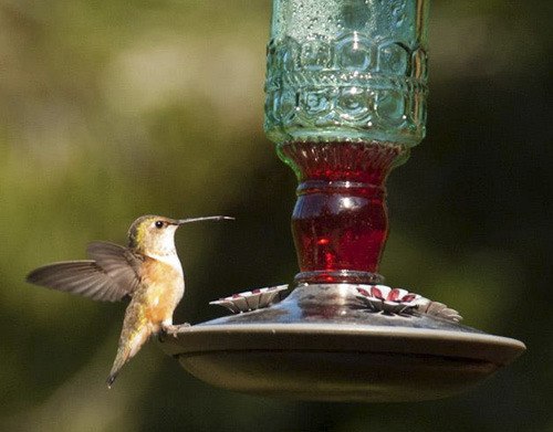 Find out how to lend a hand to our small