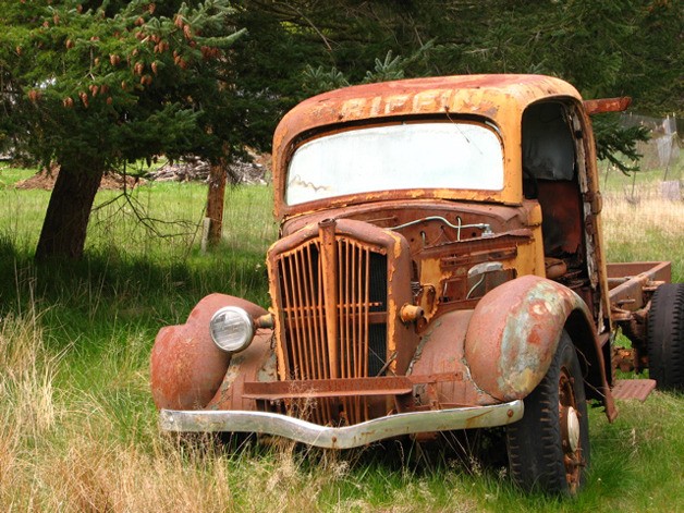 One of Anita Holladay's photos