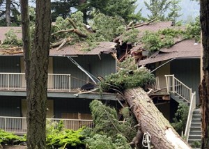 The damaged condos.