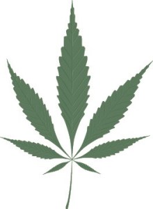 Now that it’s legal in Washington state