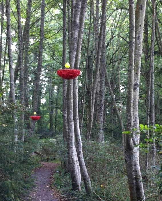 Art Installation in Doe Bay