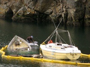 The derelict boat sinking.