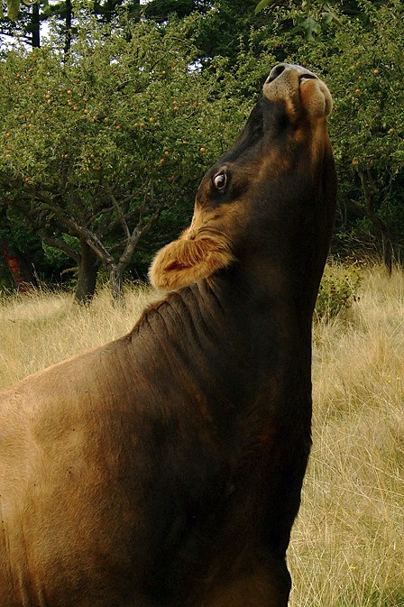April is enthusiastic about her campaign.