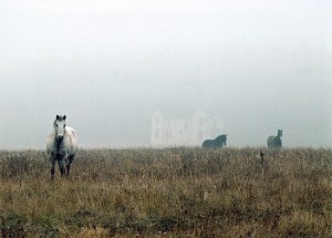 Work like this piece