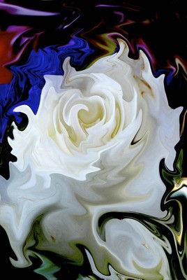 Art by Philomena Robinson