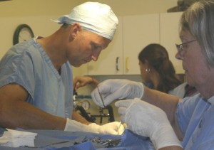 Dr. Joe Gaydos is pictured above during the surgery.