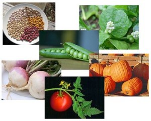 Organic vegetables.