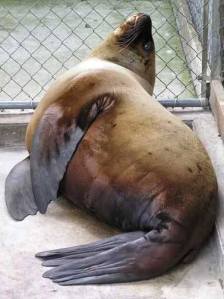 A week before its release from rehab