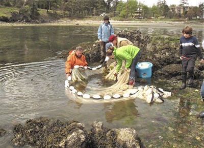 Fish sampling around Indian Island