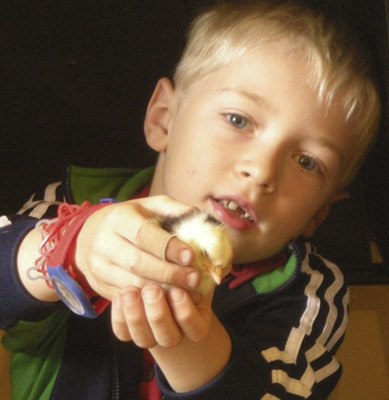 A Salmonberry student enjoys Chickens 101.