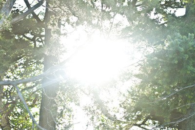 The Episcopal Diocese of Olympia and Emmanuel Episcopal Parish are hosting a workshop called “From Here to Eternity