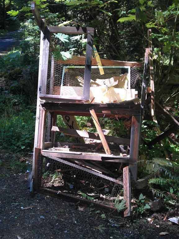 The destroyed flower stand.