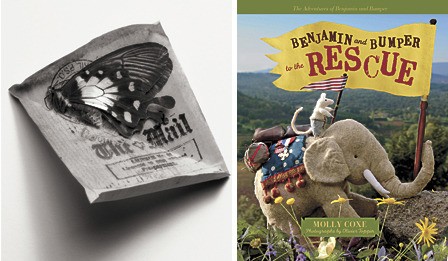 Left: An image from Dianne Kornberg’s book “India Tigers.” Right: The cover of Molly Coxe’s new book.