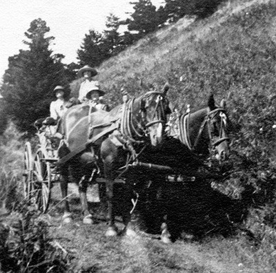 The road up Mt. Constitution was  originally near Olga.