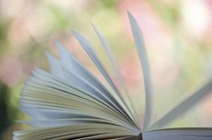 Mark your calendars for the winter book sale on Feb. 25.