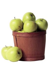 Up to ten Washington cider and mead producers will be vying for first place at the First Annual Orcas Island Cider and Mead Festival at Farmer’s Market on Saturday