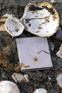Litter on Crescent Beach.