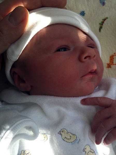 Viola Mae Scherer.