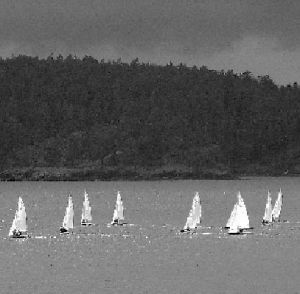 Twenty boats from ten high schools completed 14 races in the annual Islands Cup Regatta