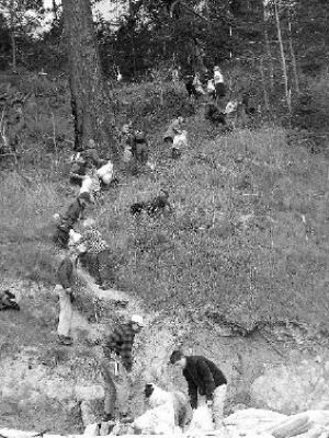 A team of beach clean-up volunteers