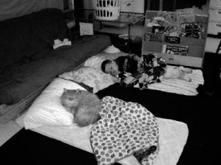 Tigger the Cat and Trevor Perdue nap after a morning outing to the Evans farm.