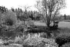 The Chone’s garden.